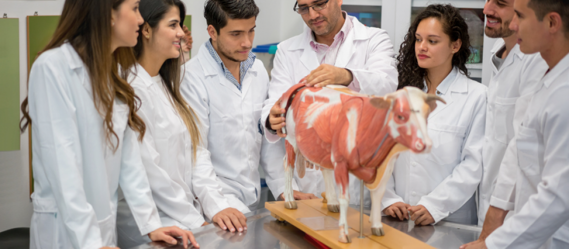 especializacao-em-pesquisa-clinica-veterinaria
